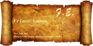 Friesz Emese névjegykártya